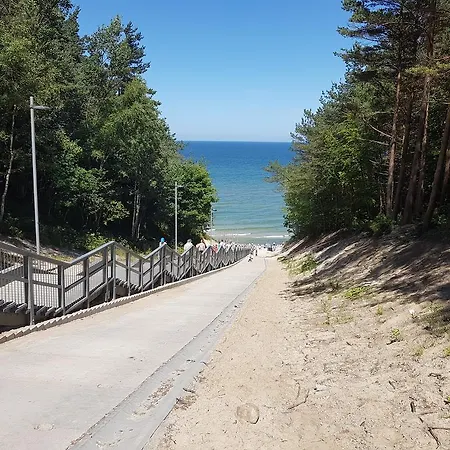 Amko Style Rustica 31 Nord